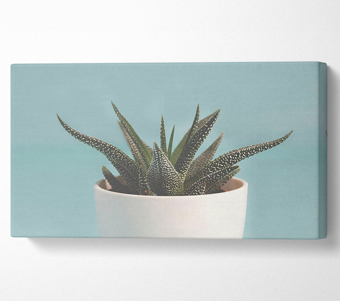  A Canvas Print of Teal Potted Plant Canvas Art