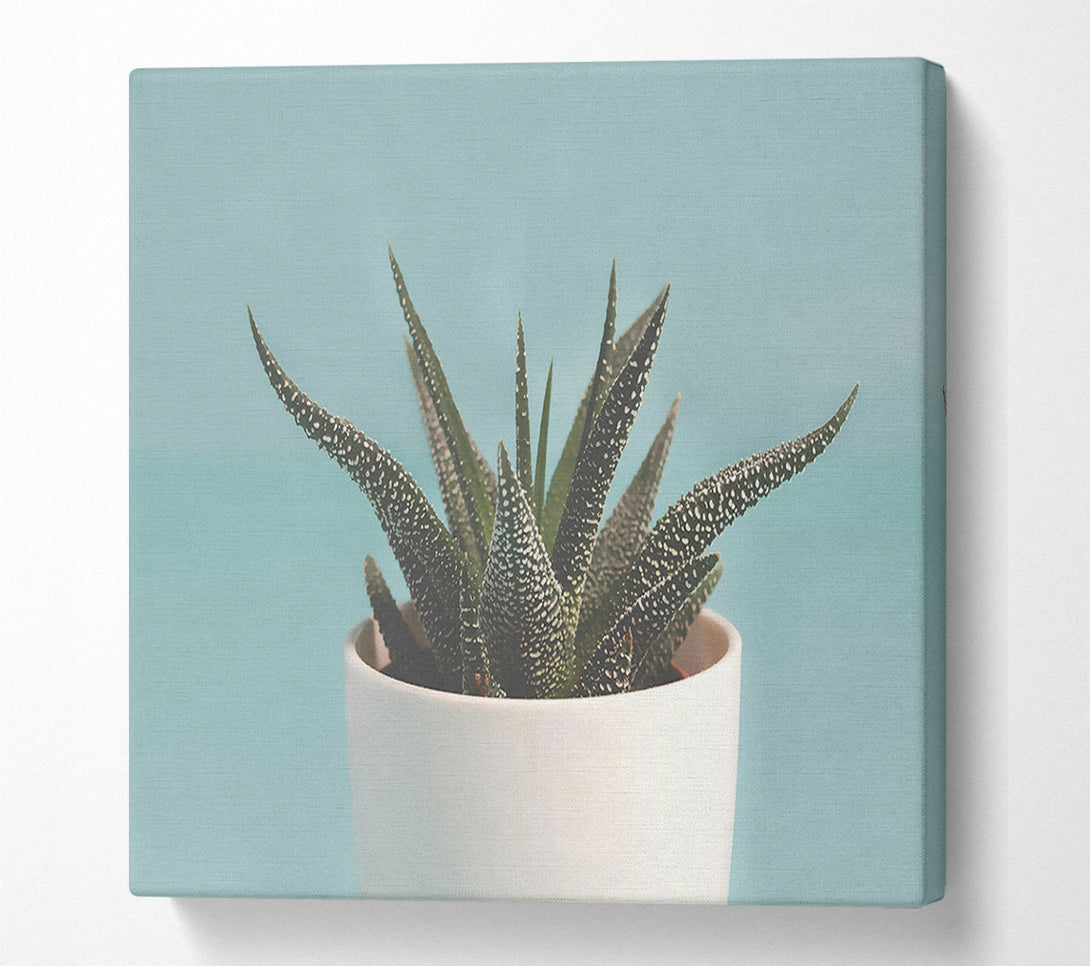  A Canvas Print of Teal Potted Plant Canvas Art