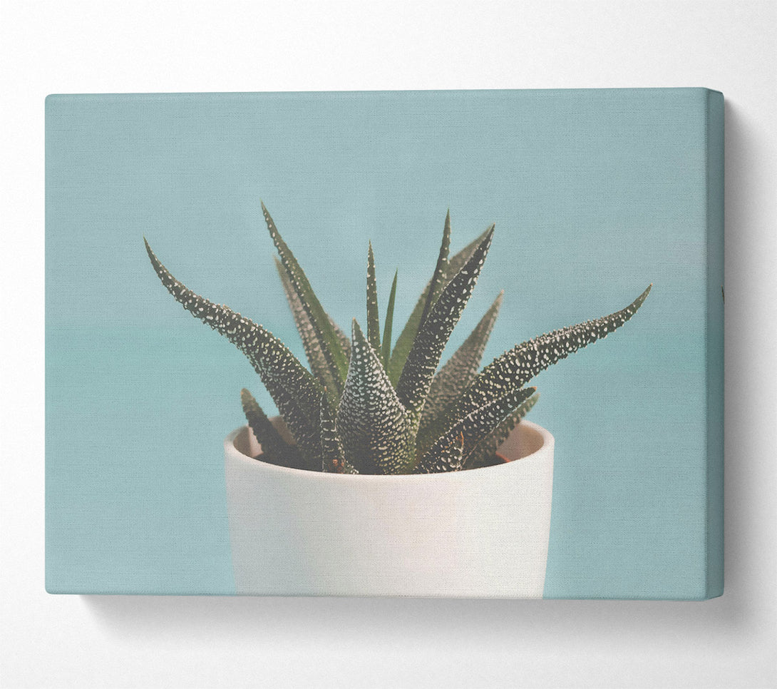  A Canvas Print of Teal Potted Plant Canvas Art