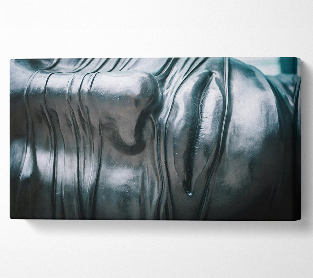  A Canvas Print of Blackened, Silken Embrace Canvas Art