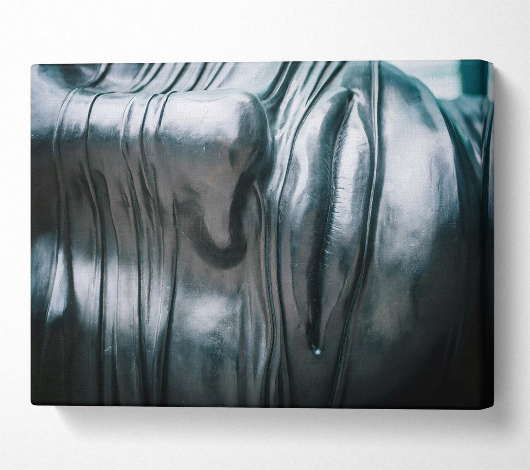  A Canvas Print of Blackened, Silken Embrace Canvas Art