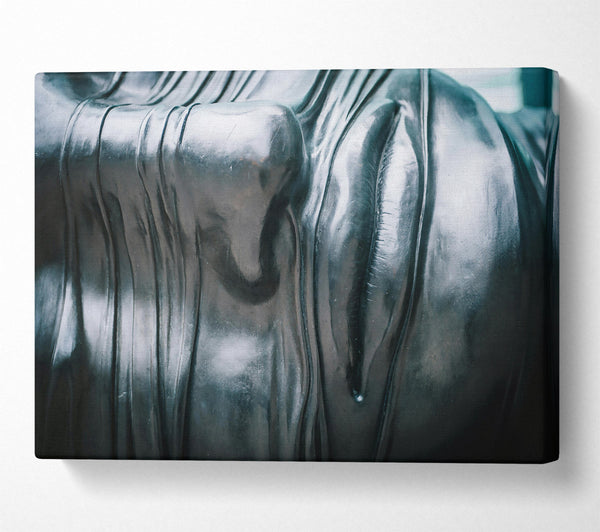  A Canvas Print of Blackened, Silken Embrace Canvas Art