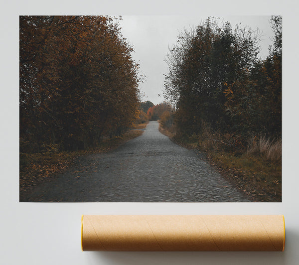 Autumn'S Golden Path Print