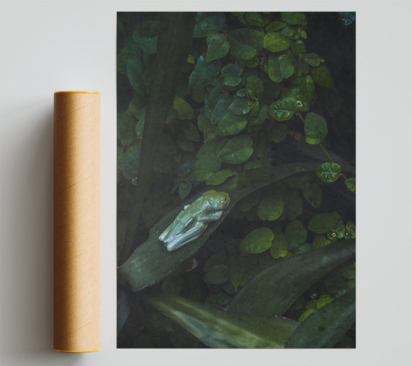 Emerald Green Sanctuary Poster