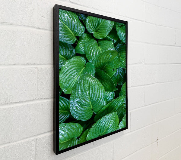 Emerald Leaf Symphony