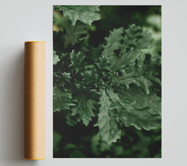 Emerald Forest Leaves Giclee Print