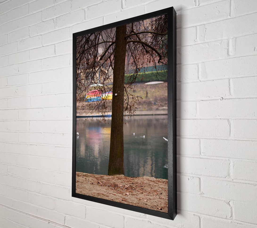  A Canvas Print of Brown Trunk By The Lake Canvas Art