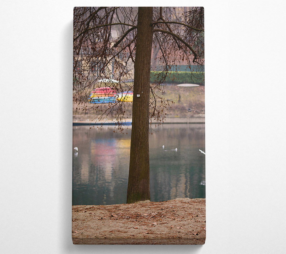 A Canvas Print of Brown Trunk By The Lake Canvas Art