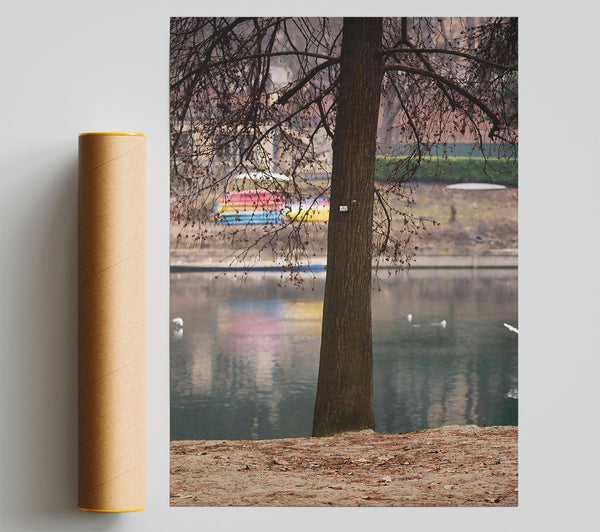 Brown Trunk By The Lake Giclee Print