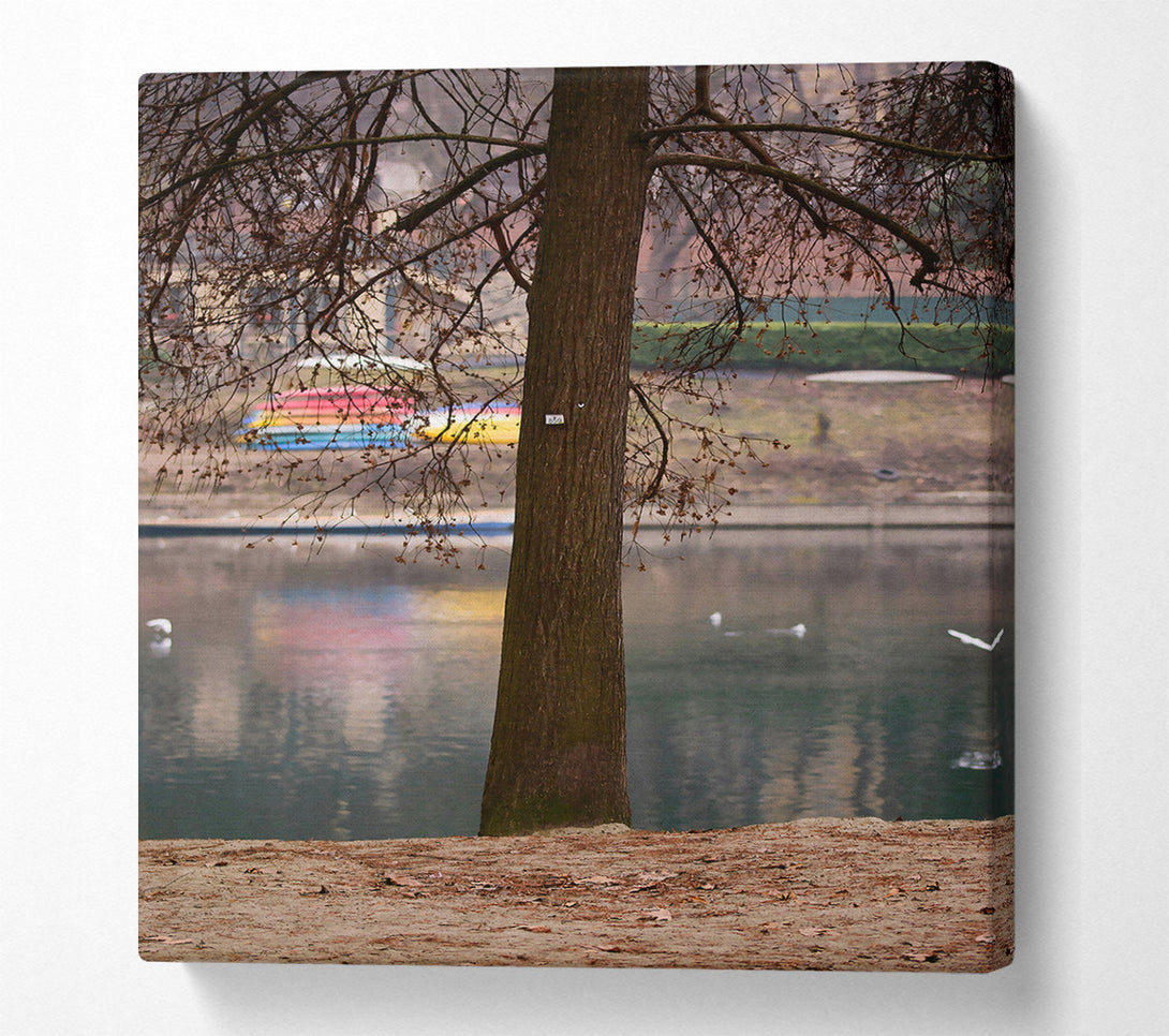  A Canvas Print of Brown Trunk By The Lake Canvas Art