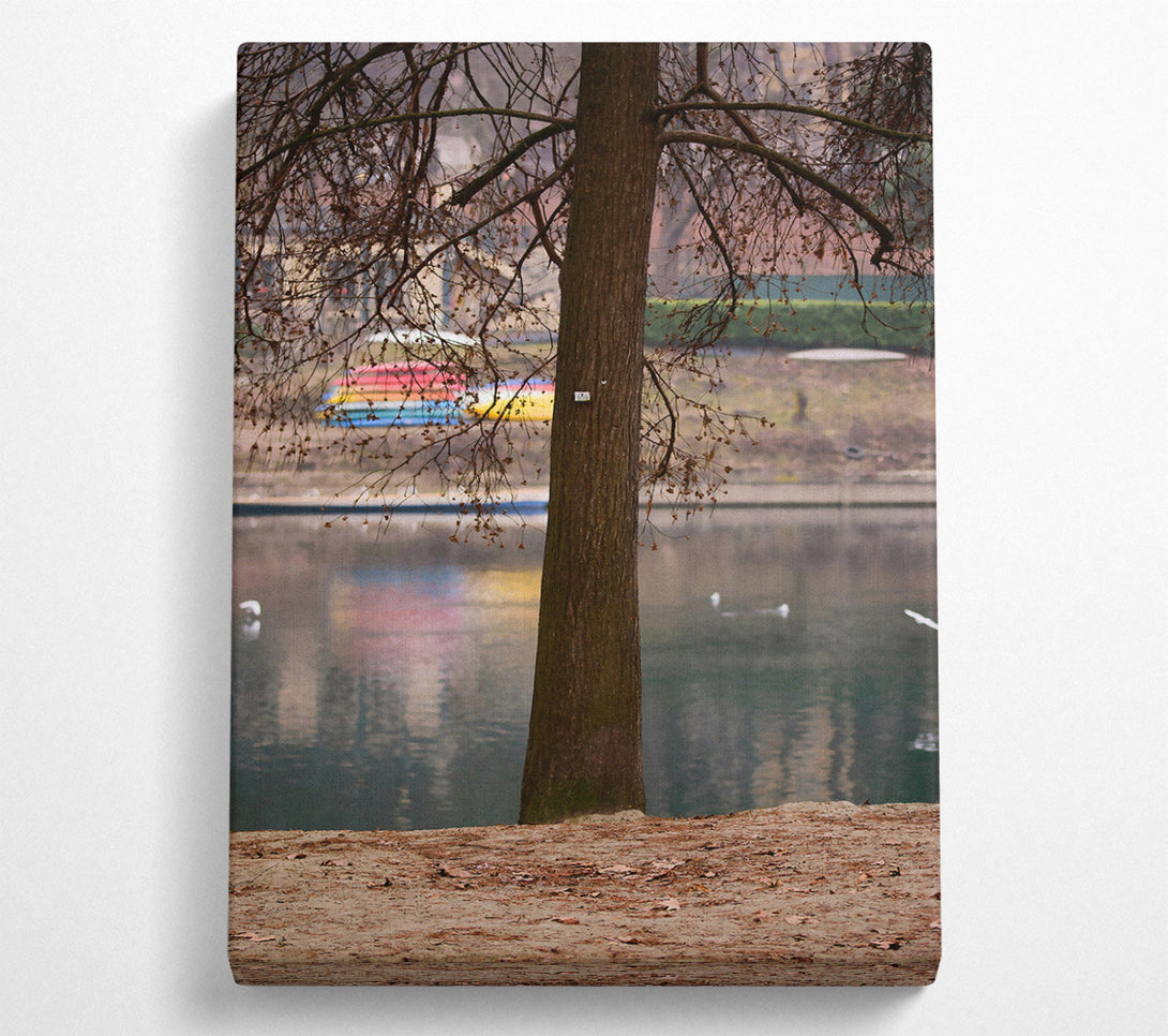  A Canvas Print of Brown Trunk By The Lake Canvas Art