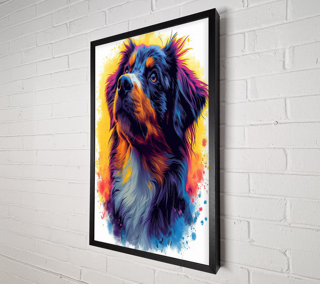  A Canvas Print of Collie Staring Graffiti Canvas Print