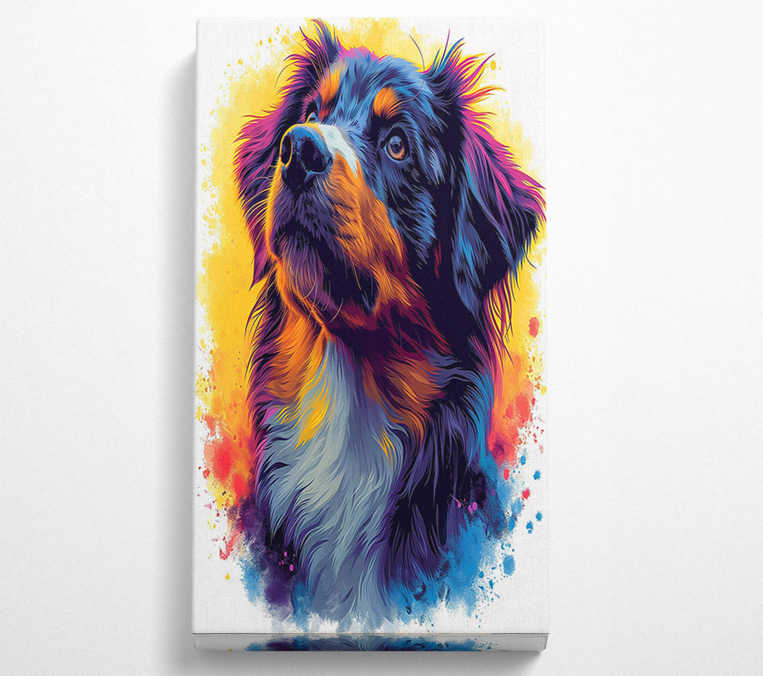  A Canvas Print of Collie Staring Graffiti Canvas Print