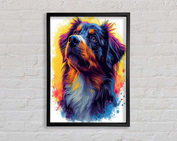 Collie Staring Graffiti Framed Print
