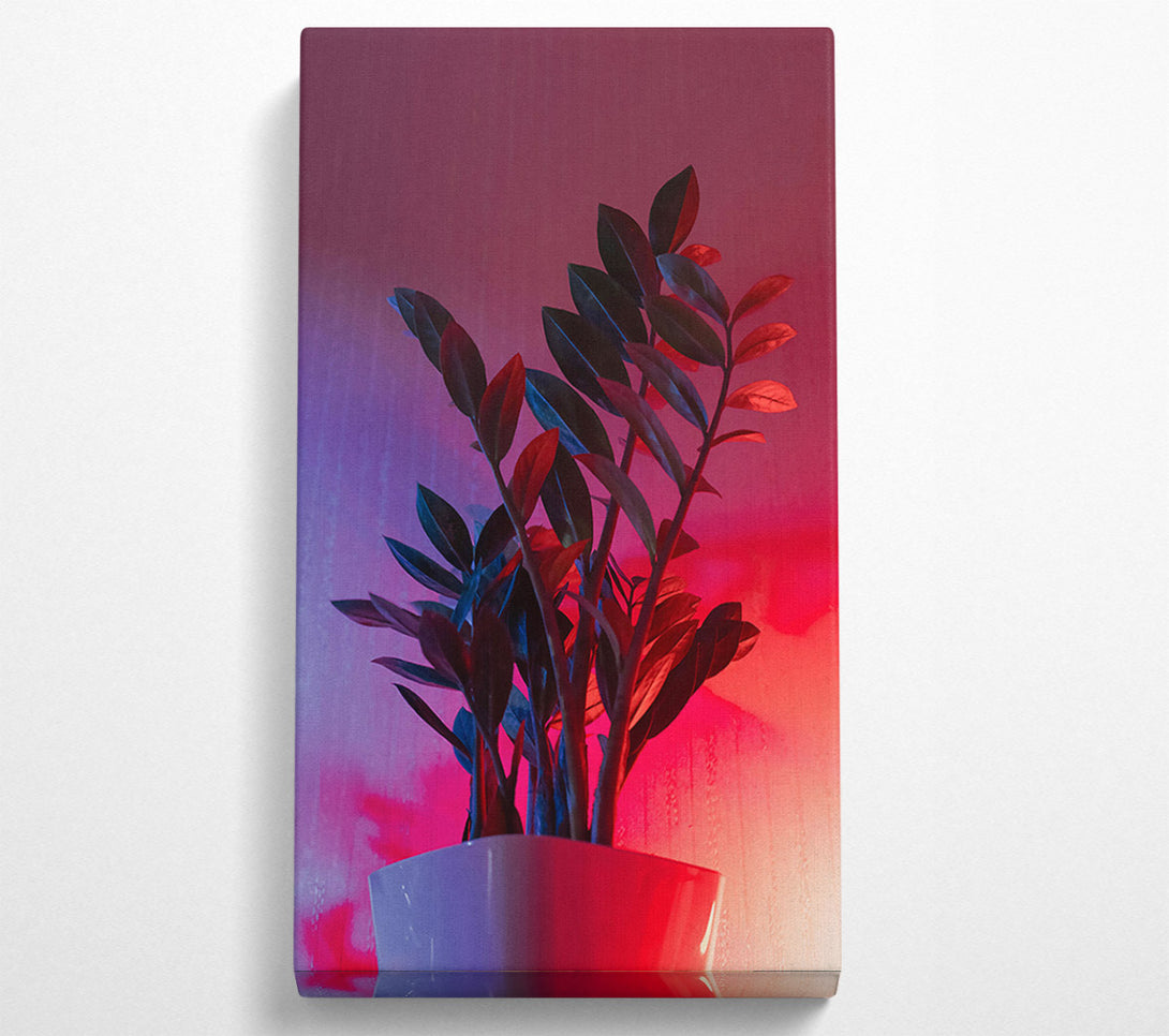  A Canvas Print of Pink Neon Plant Canvas Wall Art
