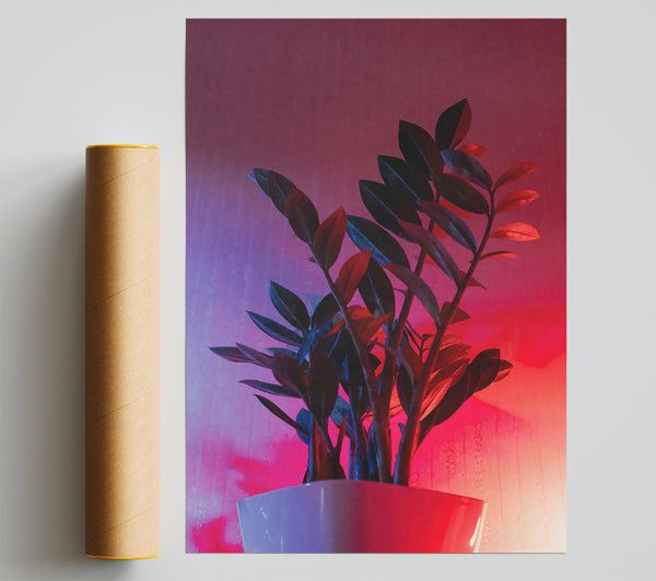 Pink Neon Plant Giclee Print