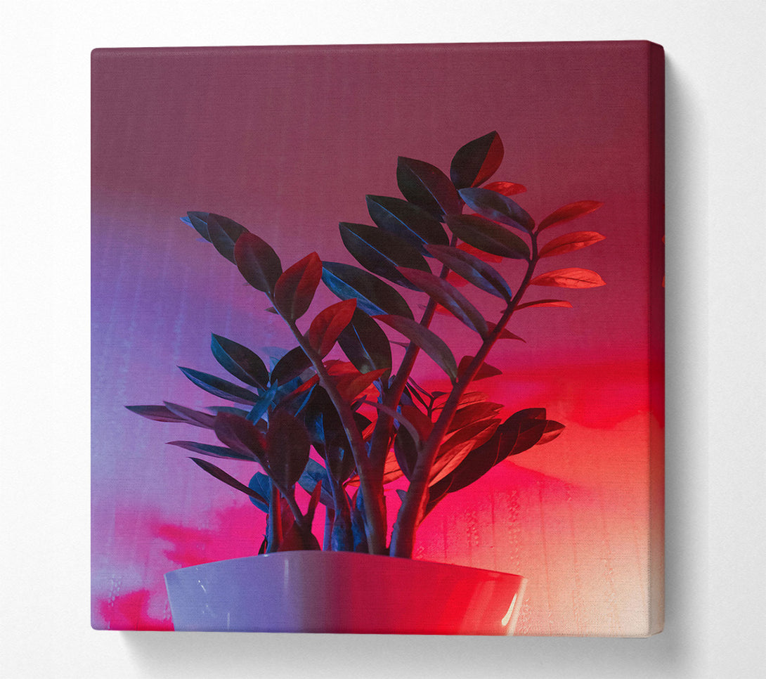  A Canvas Print of Pink Neon Plant Canvas Wall Art