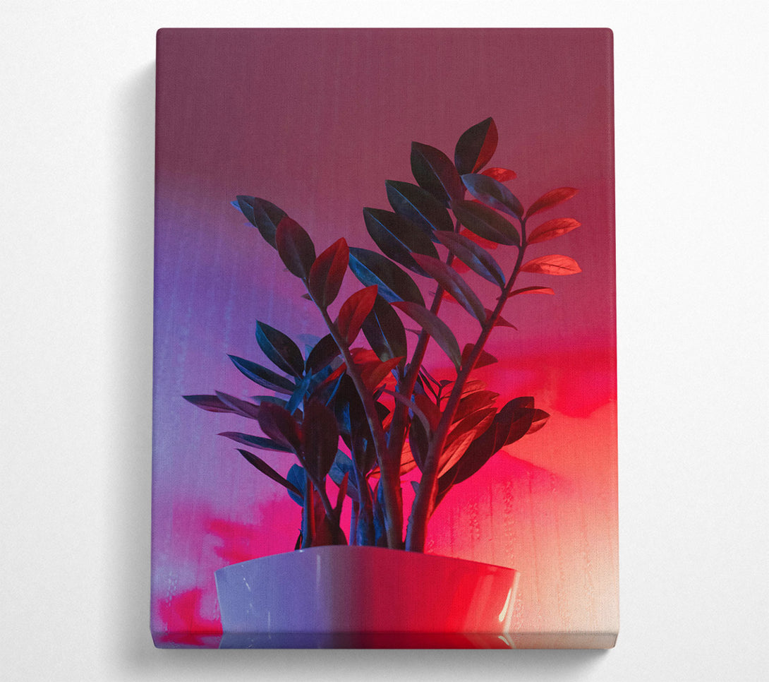  A Canvas Print of Pink Neon Plant Canvas Wall Art