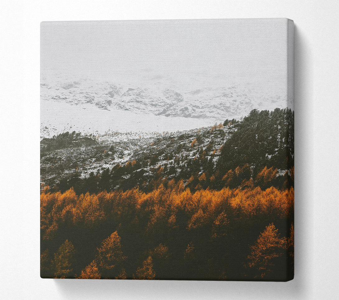  A Canvas Print of Golden Snow-Capped Peaks Canvas Wall Art