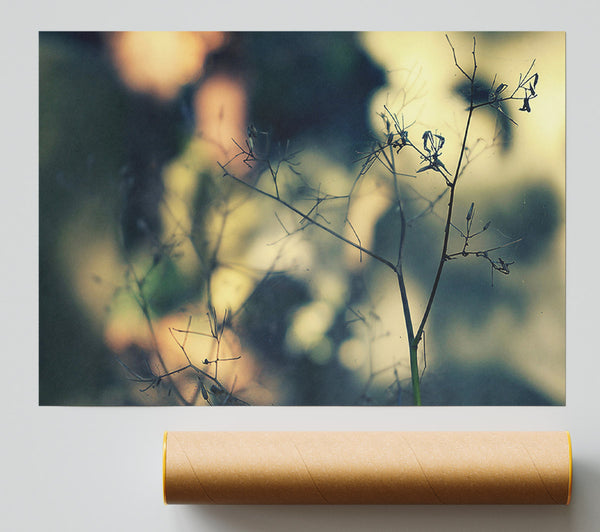 Pale Green Branches Poster