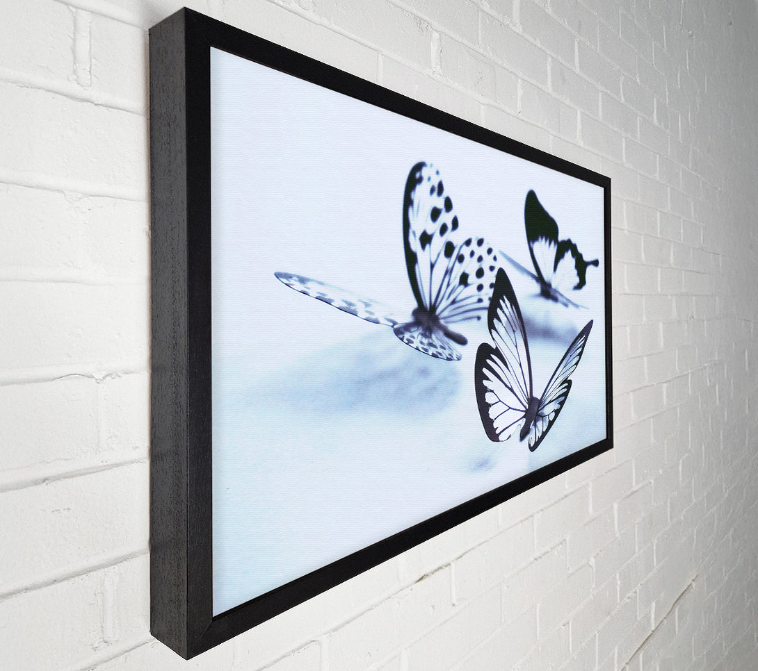  A Canvas Print of Blue Butterfly Flight Canvas Print