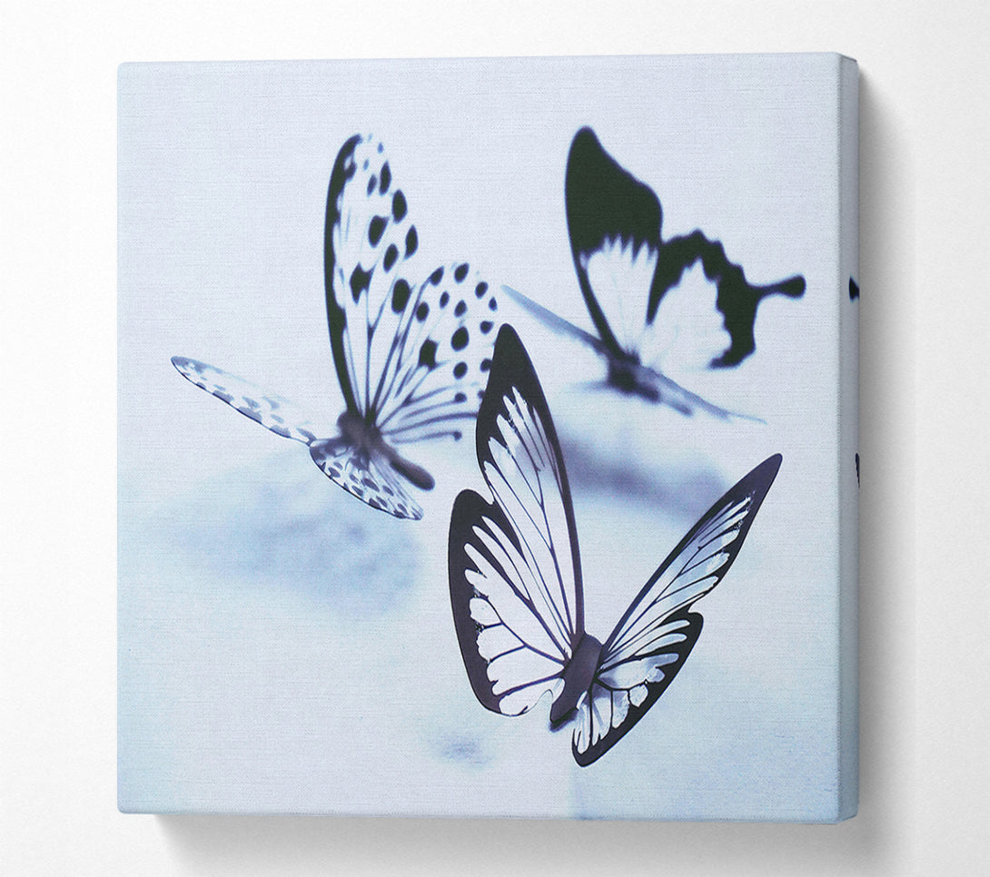  A Canvas Print of Blue Butterfly Flight Canvas Print