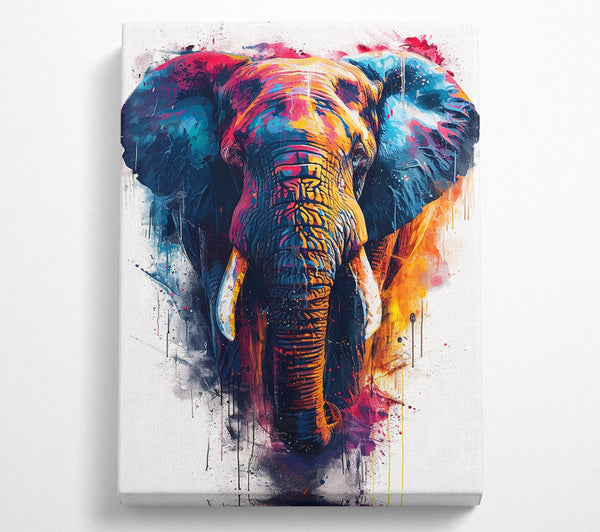  A Canvas Print of Colour Explosion Elephant Canvas Art