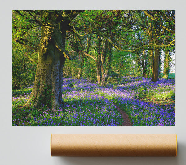 Purple Woodland Path Print