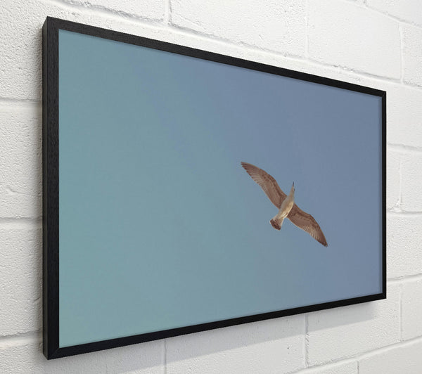 Blue Sky Soaring