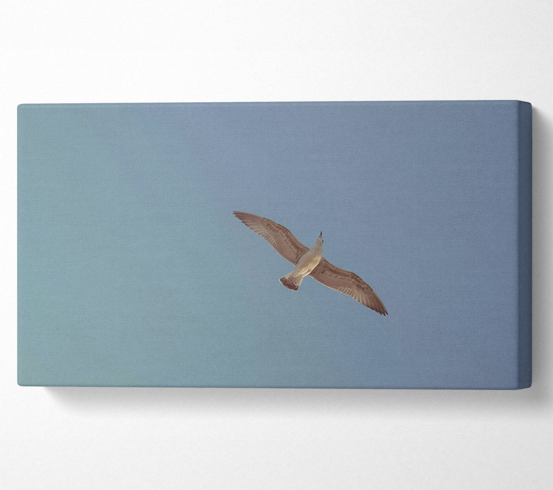  A Canvas Print of Blue Sky Soaring Canvas Wall Art
