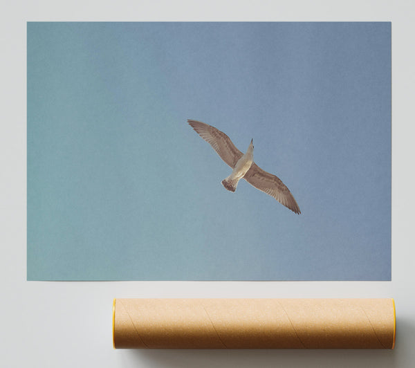 Blue Sky Soaring Giclee Print