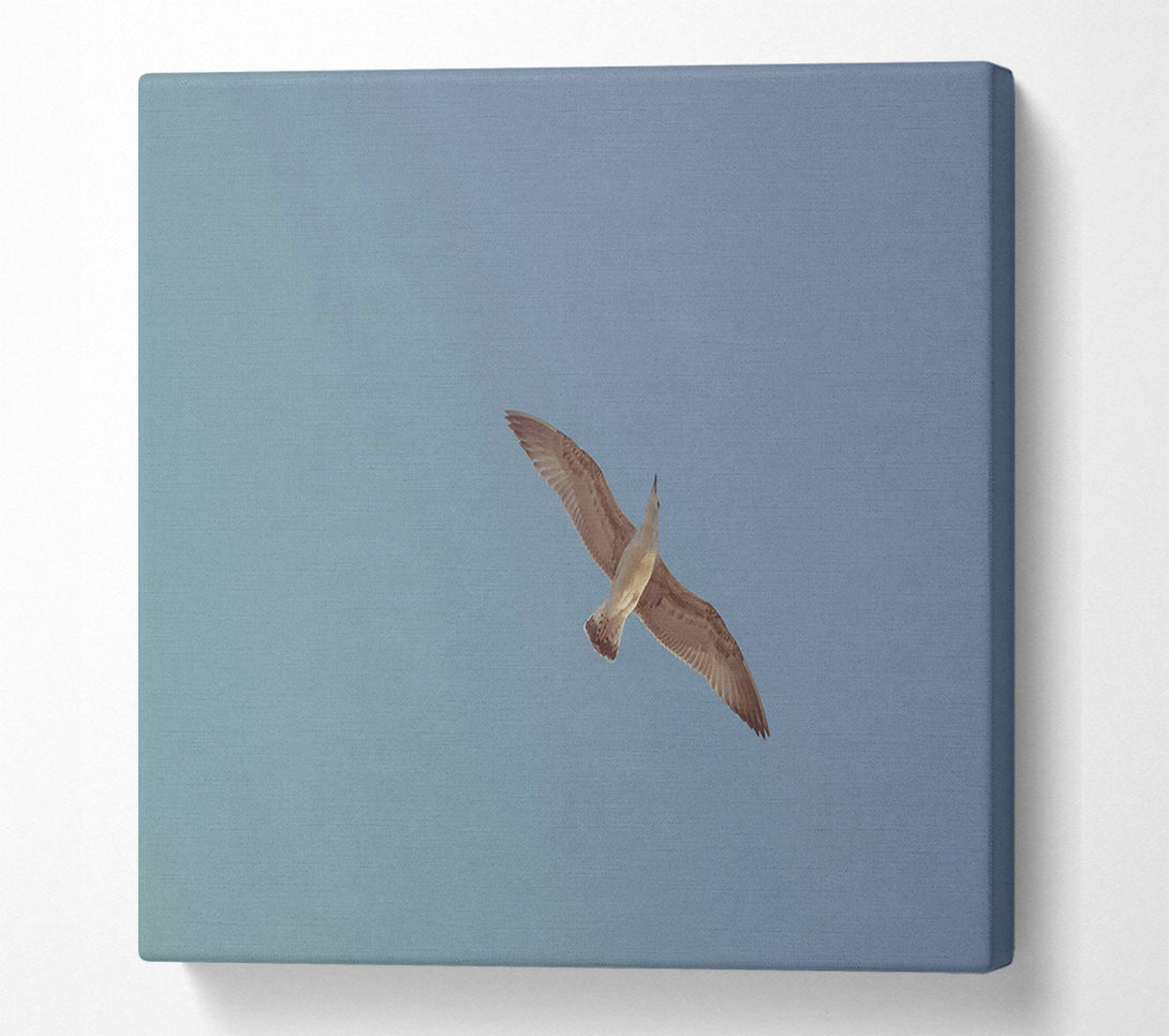  A Canvas Print of Blue Sky Soaring Canvas Wall Art
