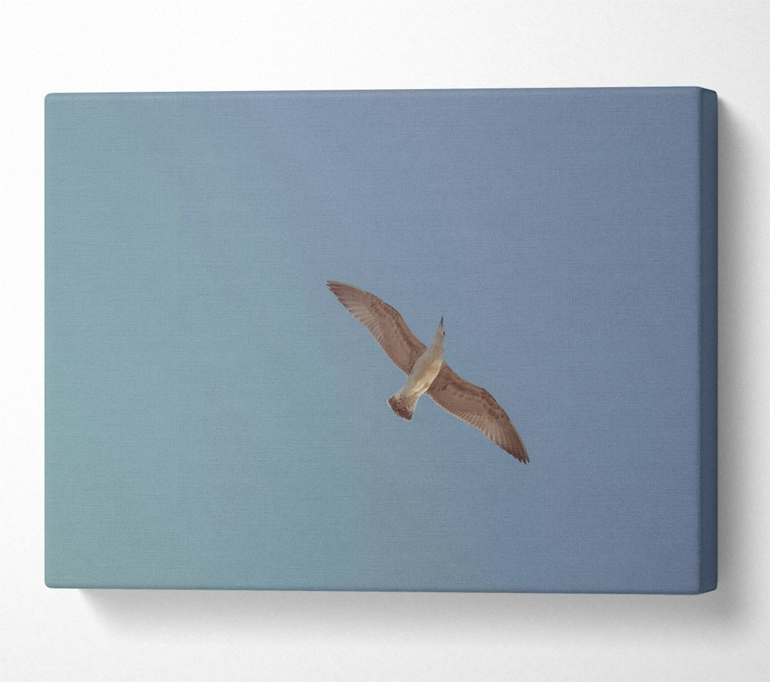  A Canvas Print of Blue Sky Soaring Canvas Wall Art