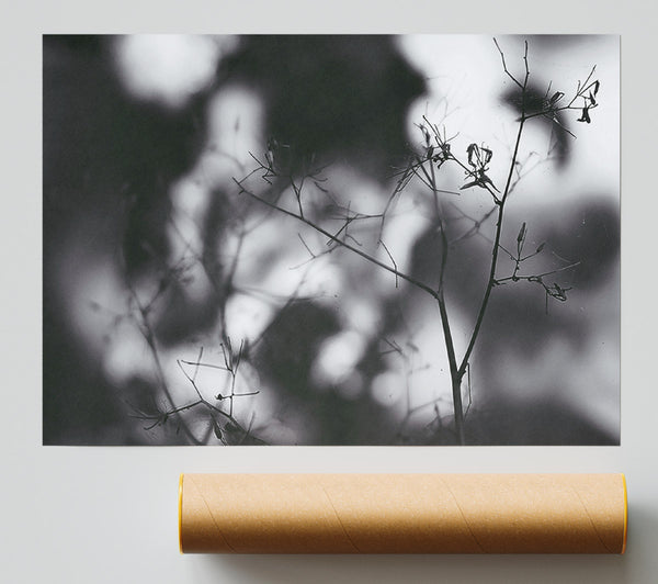 Gray Haze Silhouette Print