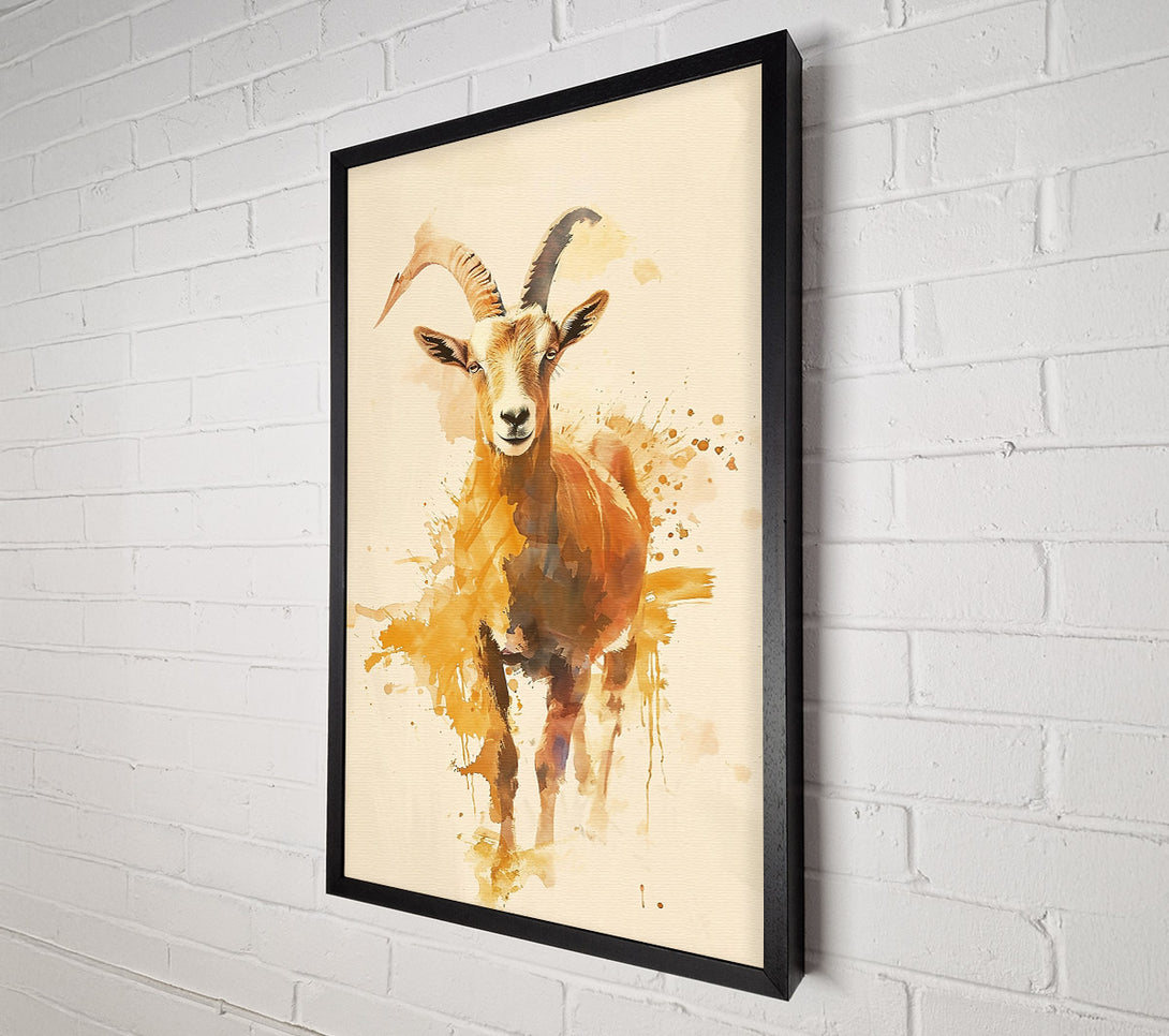  A Canvas Print of Golden Mountain Goat. Canvas Print