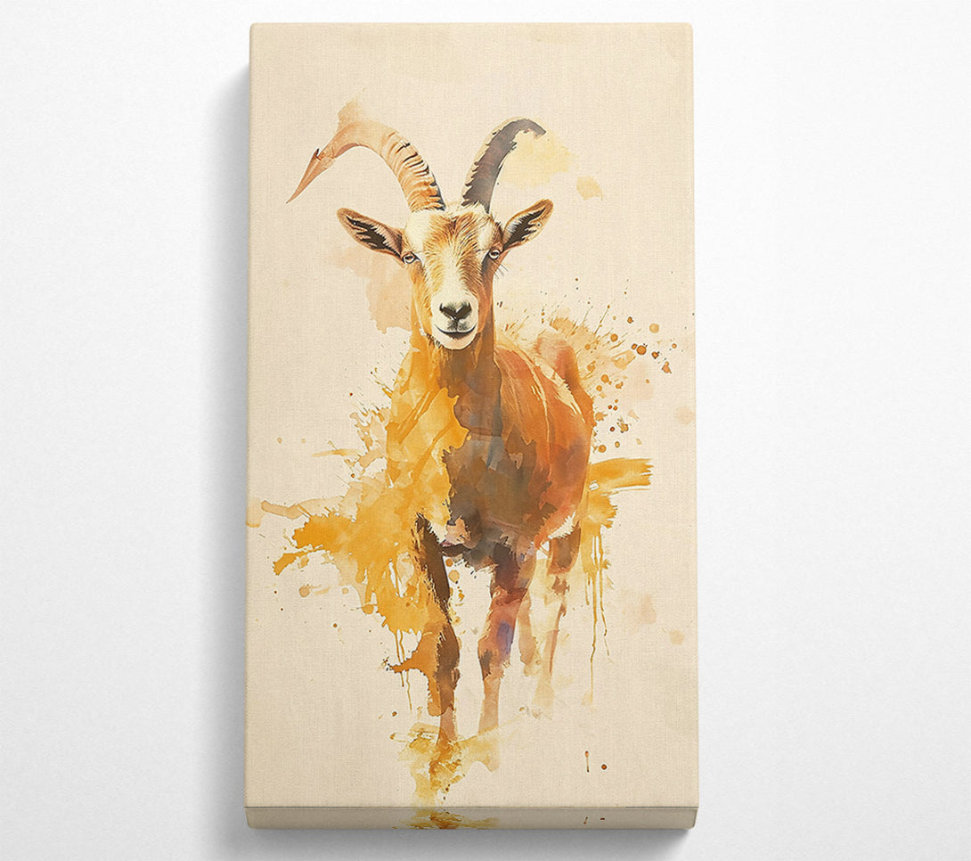  A Canvas Print of Golden Mountain Goat. Canvas Print