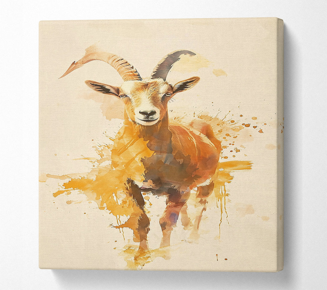  A Canvas Print of Golden Mountain Goat. Canvas Print