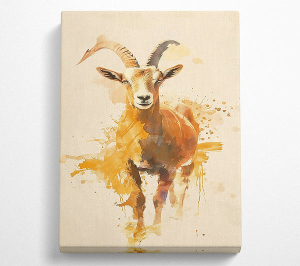  A Canvas Print of Golden Mountain Goat. Canvas Print