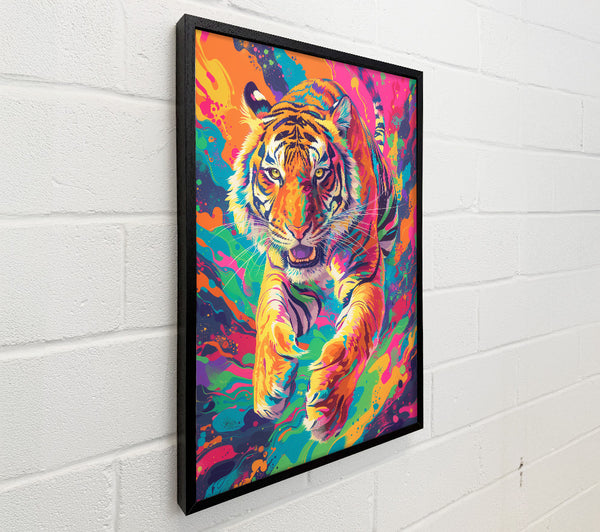 Colour Tiger