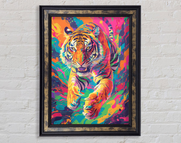 Colour Tiger Framed Print