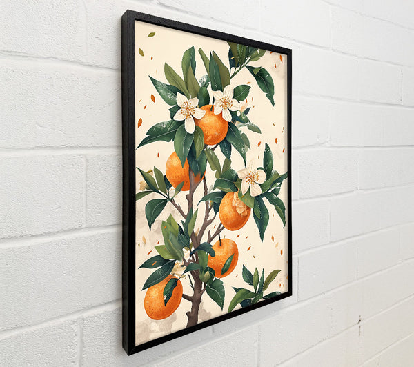 Orange Blossom Bloom