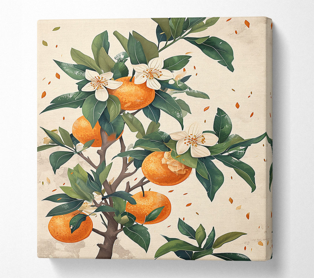  A Canvas Print of Orange Blossom Bloom Canvas Art