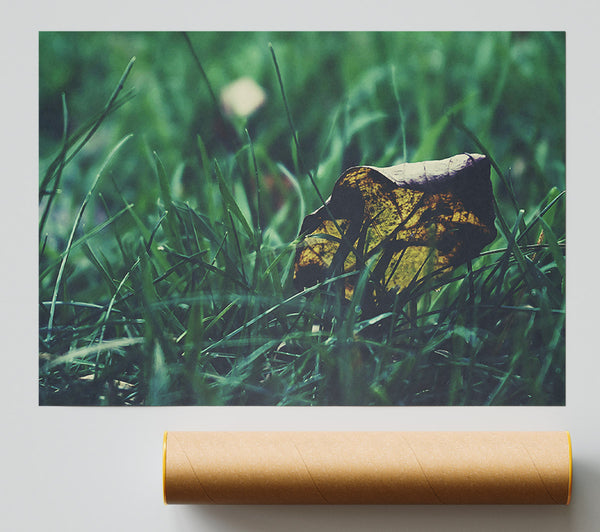 Green Grass Leaf Poster