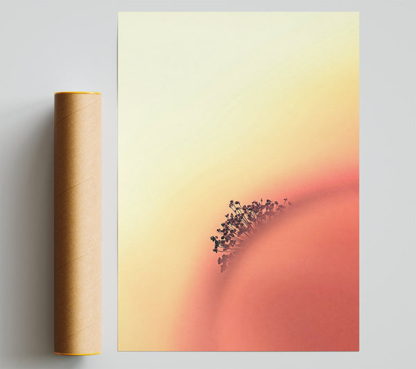 Peach Bloom Dreams Print