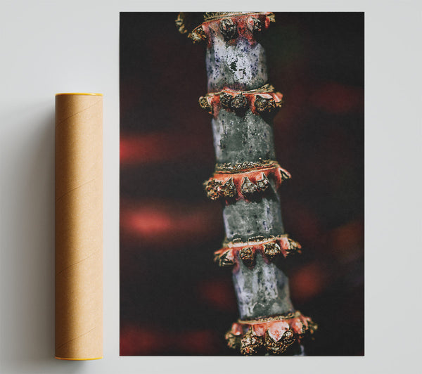 Red Bark Spikes Poster