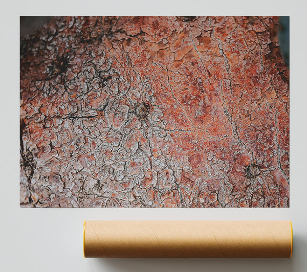 Rustic Red Bark Giclee Print