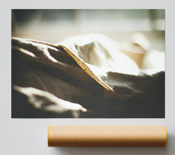 Sunlit Cream Fold Poster