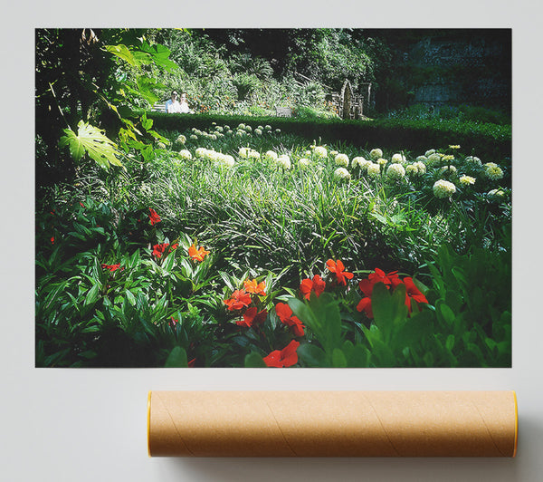 Green And Red Garden Giclee Print
