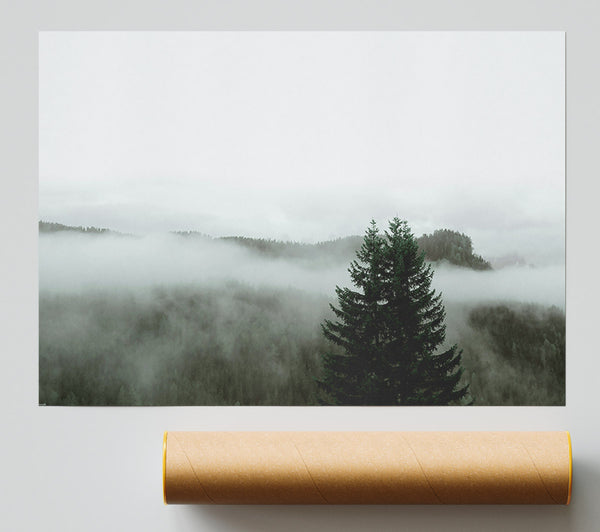Green Mist Over Trees Poster