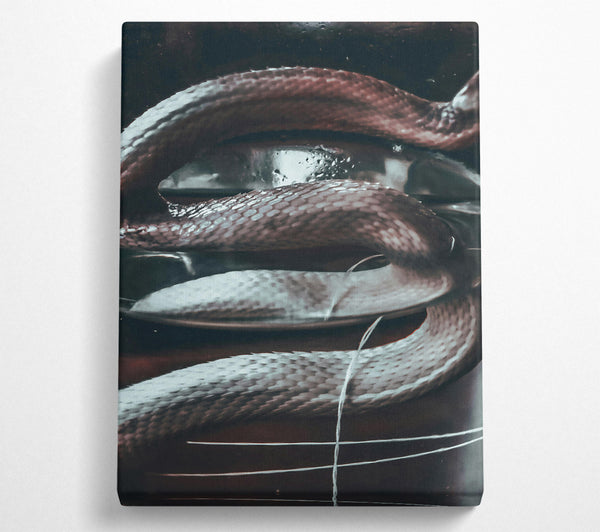  A Canvas Print of Silver Snake Coils Canvas Print